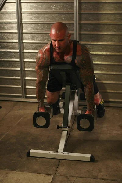 Prone Shrug
