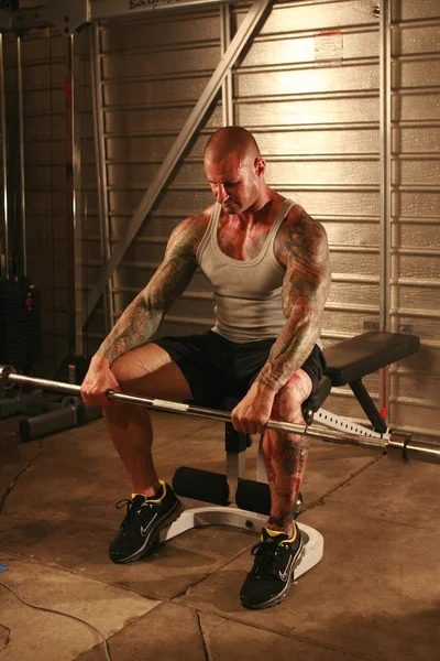 Forearm Reverse Curl
