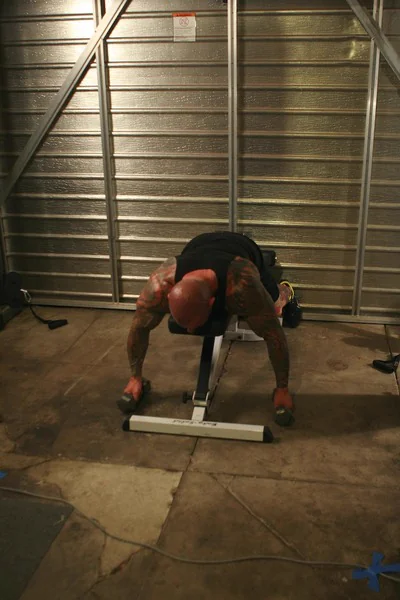 Prone Y Raise